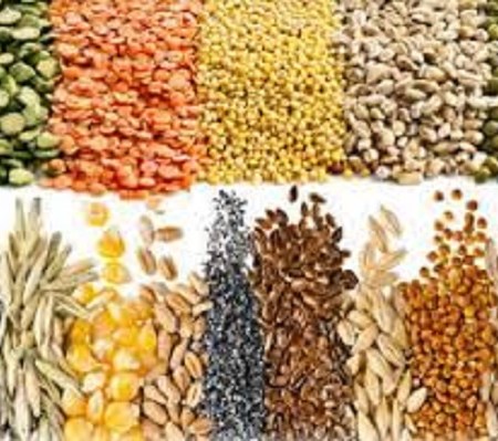 Les céréales à privilégier en septembre selon la naturopathie et la MTC