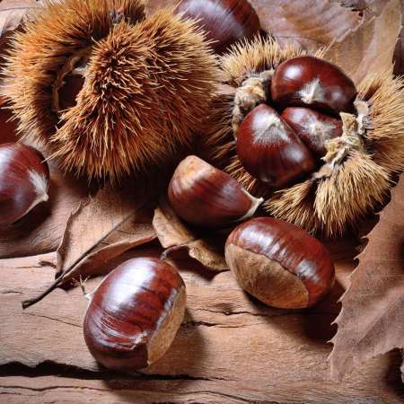 Les châtaignes : un superaliment réconfortant pour l’automne