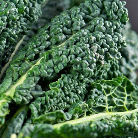 Le chou kale : un superaliment détoxifiant pour l’automne