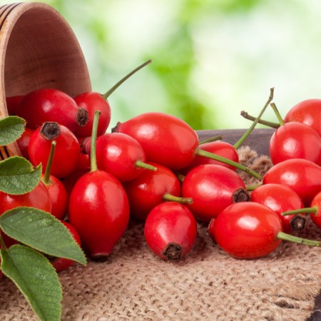 Les baies d’églantier : un superaliment immunisant pour l’automne