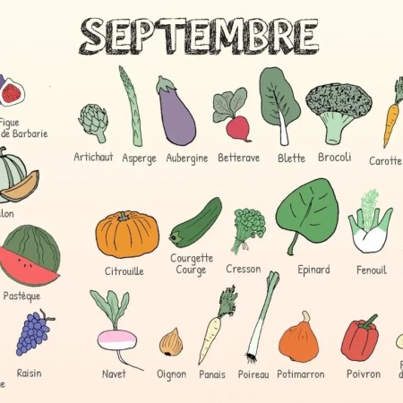 Les aliments à privilégier en septembre selon la naturopathie et la MTC