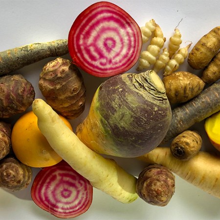 Les légumes-racines à privilégier en novembre selon la MTC et la naturopathie