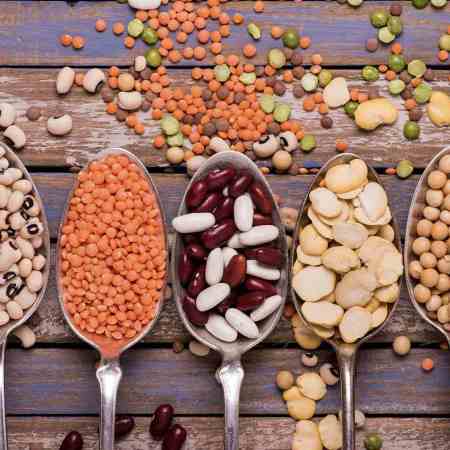 Les légumineuses à privilégier en décembre selon la naturopathie et la MTC