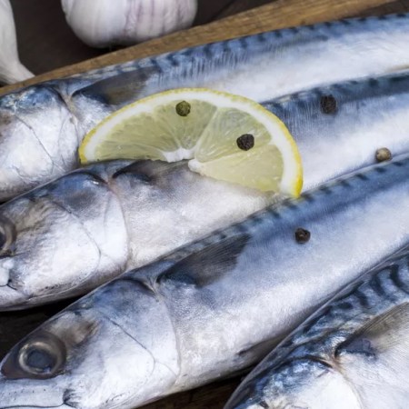 Recette de décembre : « Maquereaux confits au gingembre & épices de Noël noires »