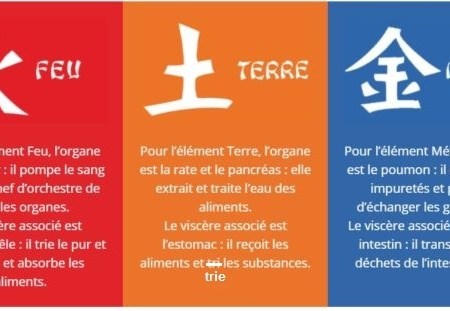 Avril 2026 : Début intersaison Terre - Recentrez votre énergie et soutenez votre digestion (Rate & Estomac)