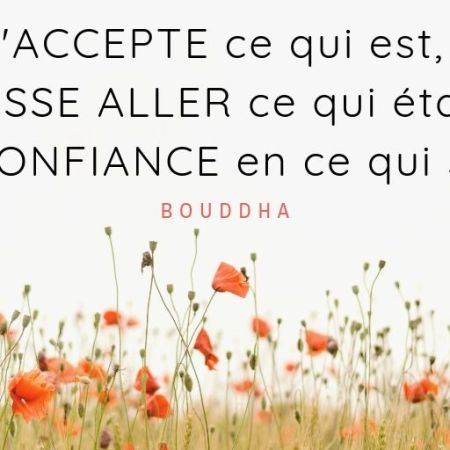Mars 2026 : Et si votre printemps commençait par un nettoyage émotionnel ? – Pratique MTC simple pour libérer les stagnations du Foie