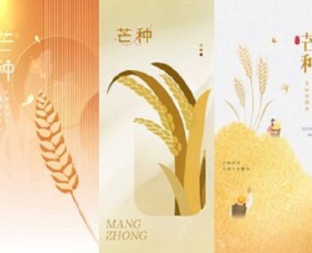 Juin et Mang Zhong : Synthèse & conseils modernes – Intégrer la sagesse ancienne dans notre vie d’aujourd’hui