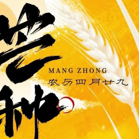 Juin et Mang Zhong : Introduction au terme solaire Mang Zhong (芒种) : quand les épis se remplissent… et que nous, on se sent un peu « débordé.e.s » par la chaleur et l’humidité.