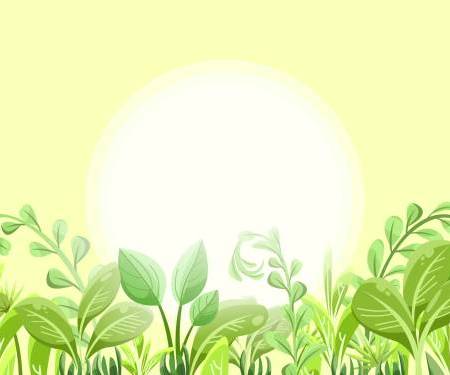 Août et Da Shu (大暑 - Grande Chaleur) : Alimentation de saison pour les derniers jours de Da Shu et le début d’août : Nourrir sans alourdir – recettes et principes MTC pour la chaleur qui s’attarde