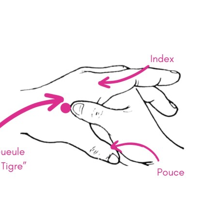 Août et Da Shu (大暑 - Grande Chaleur) : Auto-soins et routine quotidienne en fin de San Fu / début août : Les 5-7 gestes essentiels pour sortir de la grande chaleur en forme