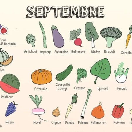 🍂 Le Bon Sens de Septembre : quels aliments privilégier pour accompagner (sans trop forcer) l’entrée dans l’automne ?